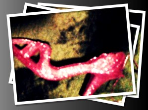 "One shoe can change your life!" ~ Cinderella (and every woman who loves shoes!!)